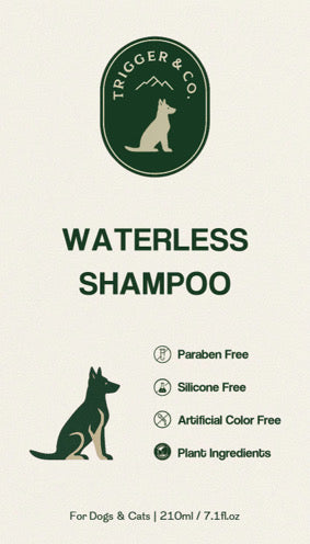 Dry Shampoo